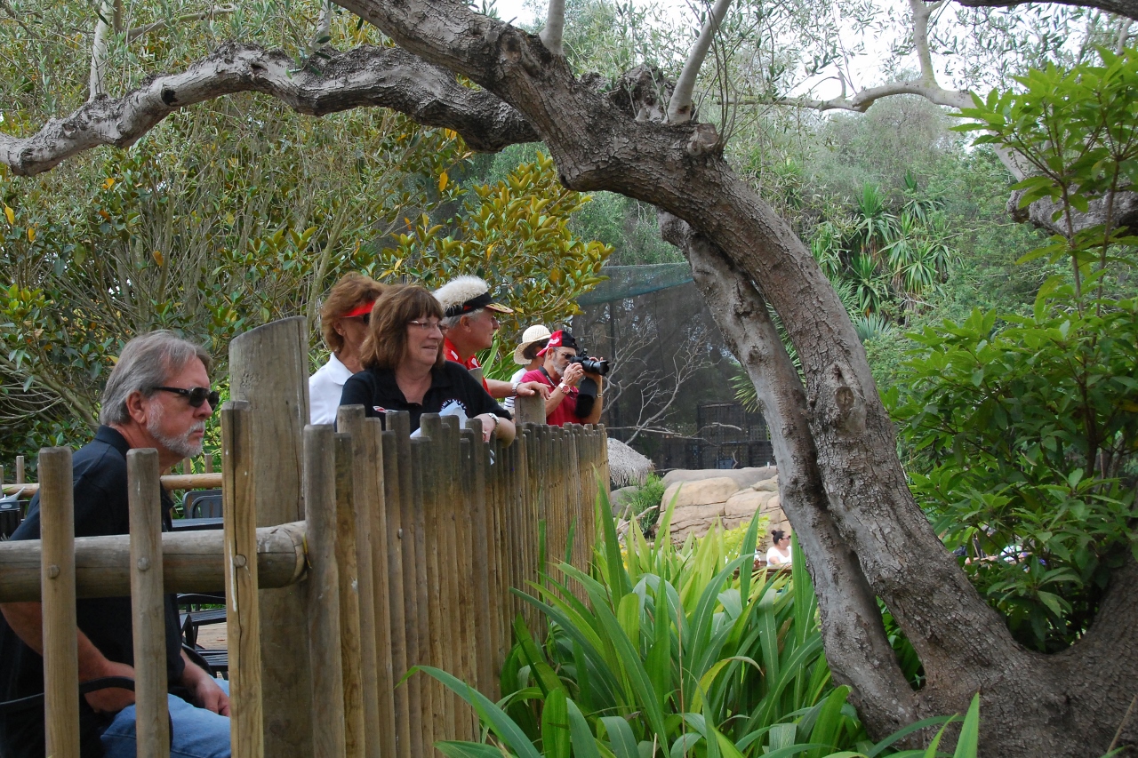 Simi Valley Corvettes