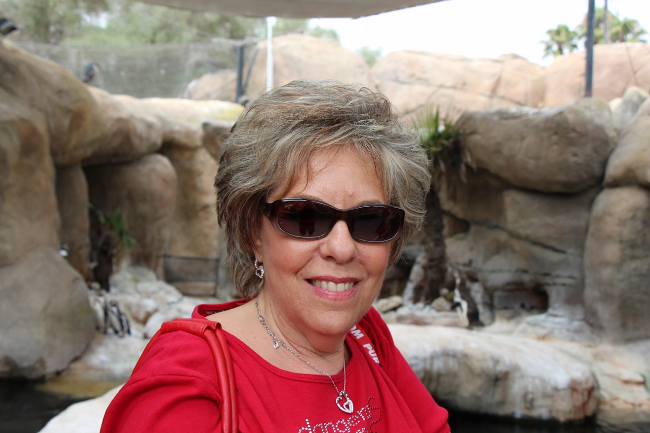 Simi Valley Corvettes