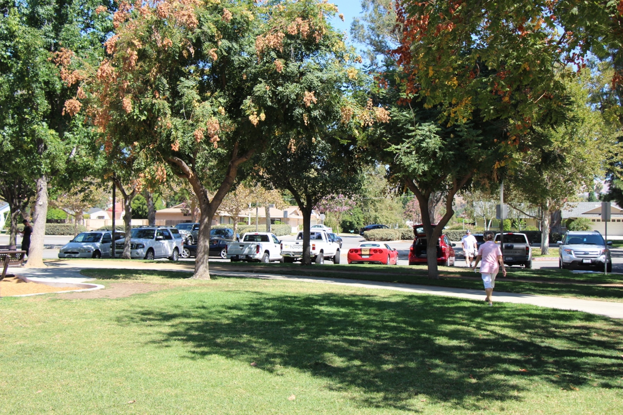 Simi Valley Corvettes