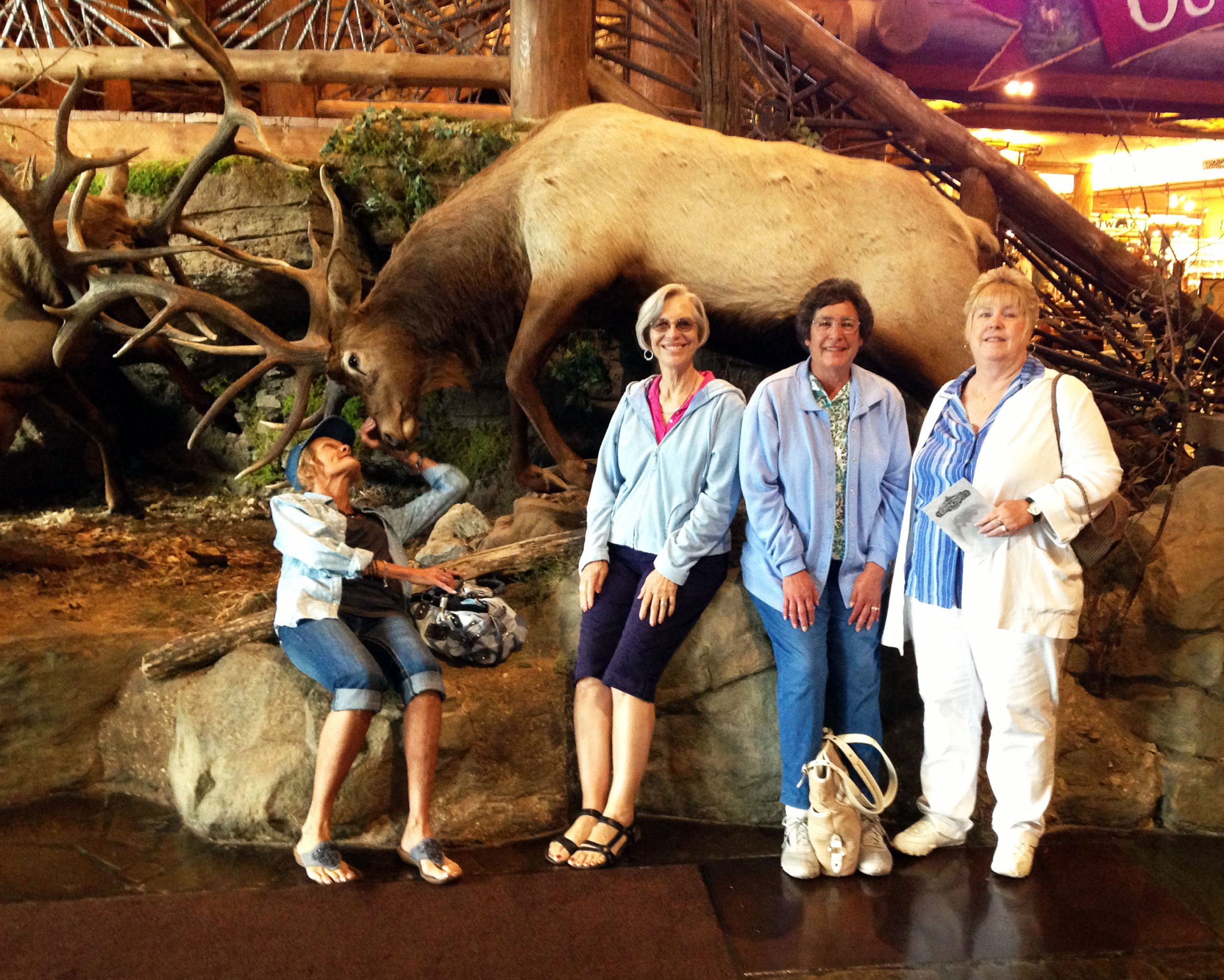 Simi Valley Corvettes