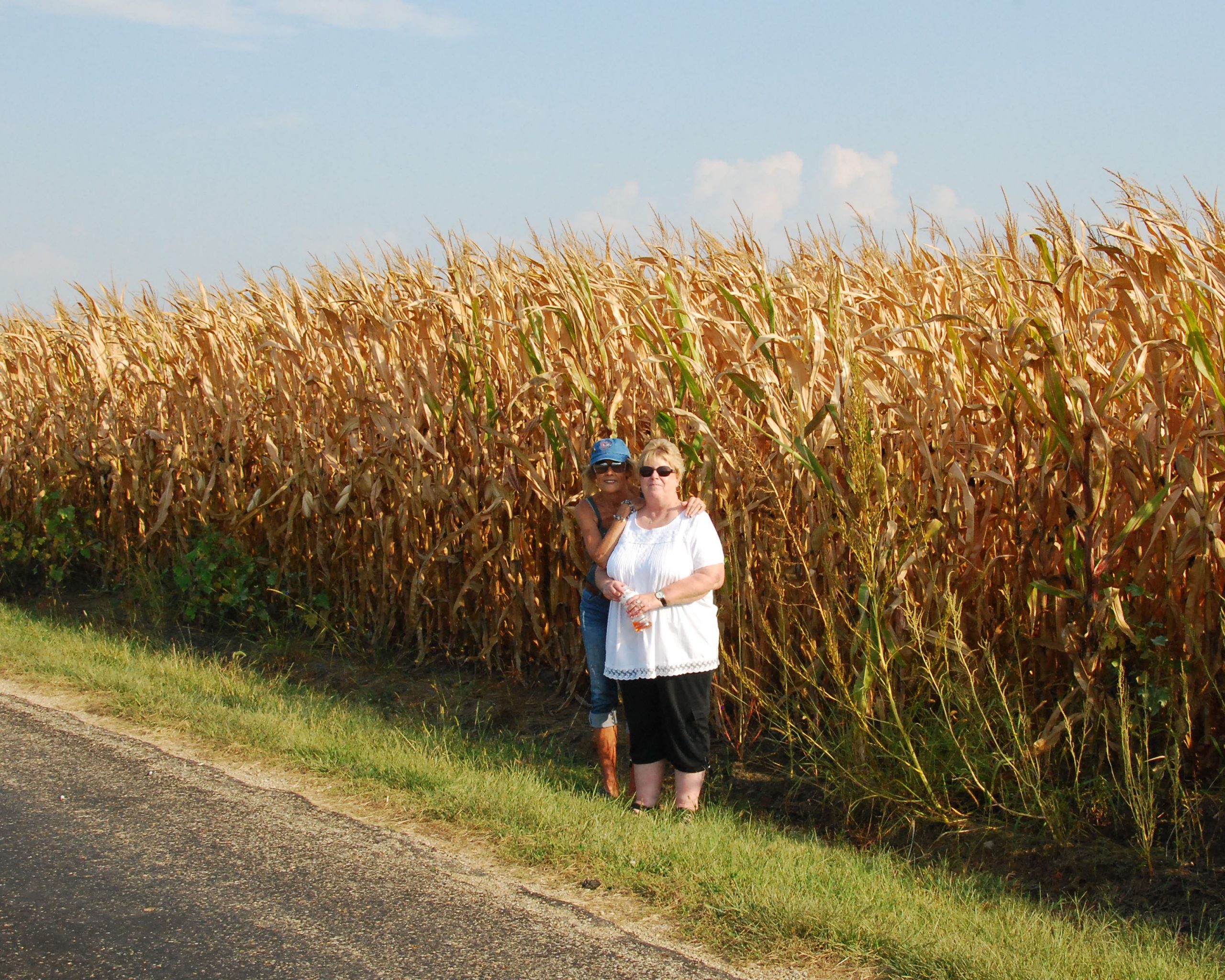 Simi Valley Corvettes