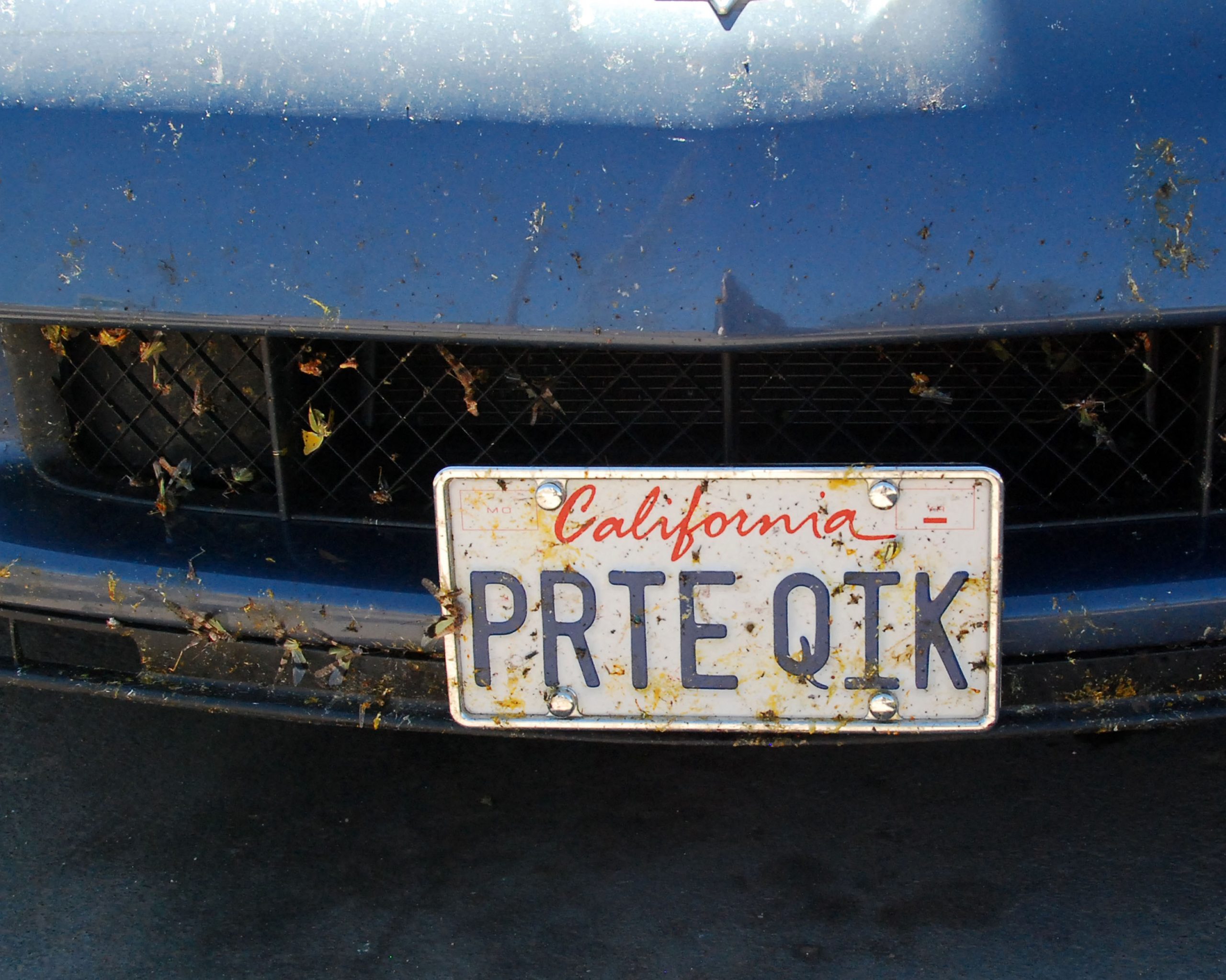 Simi Valley Corvettes