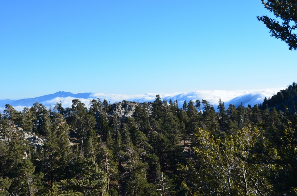 Simi Valley Corvettes