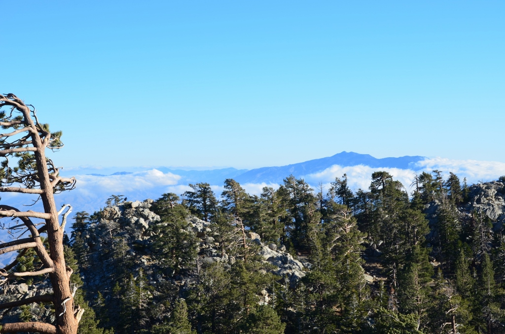 Simi Valley Corvettes