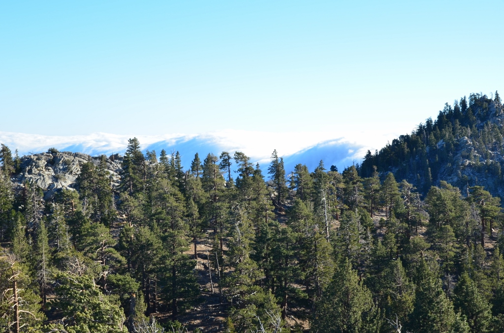 Simi Valley Corvettes
