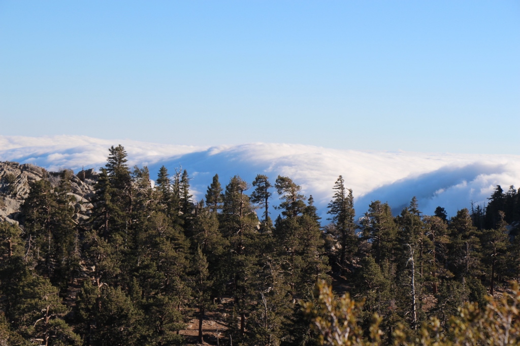 Simi Valley Corvettes