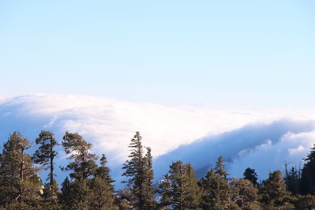 Simi Valley Corvettes