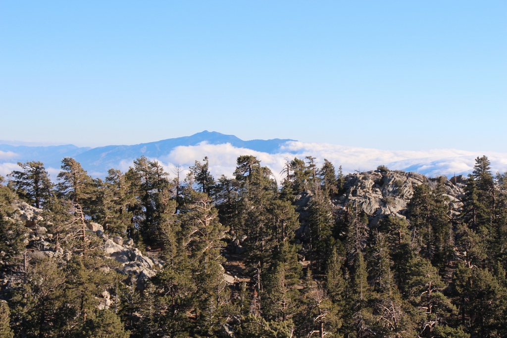 Simi Valley Corvettes