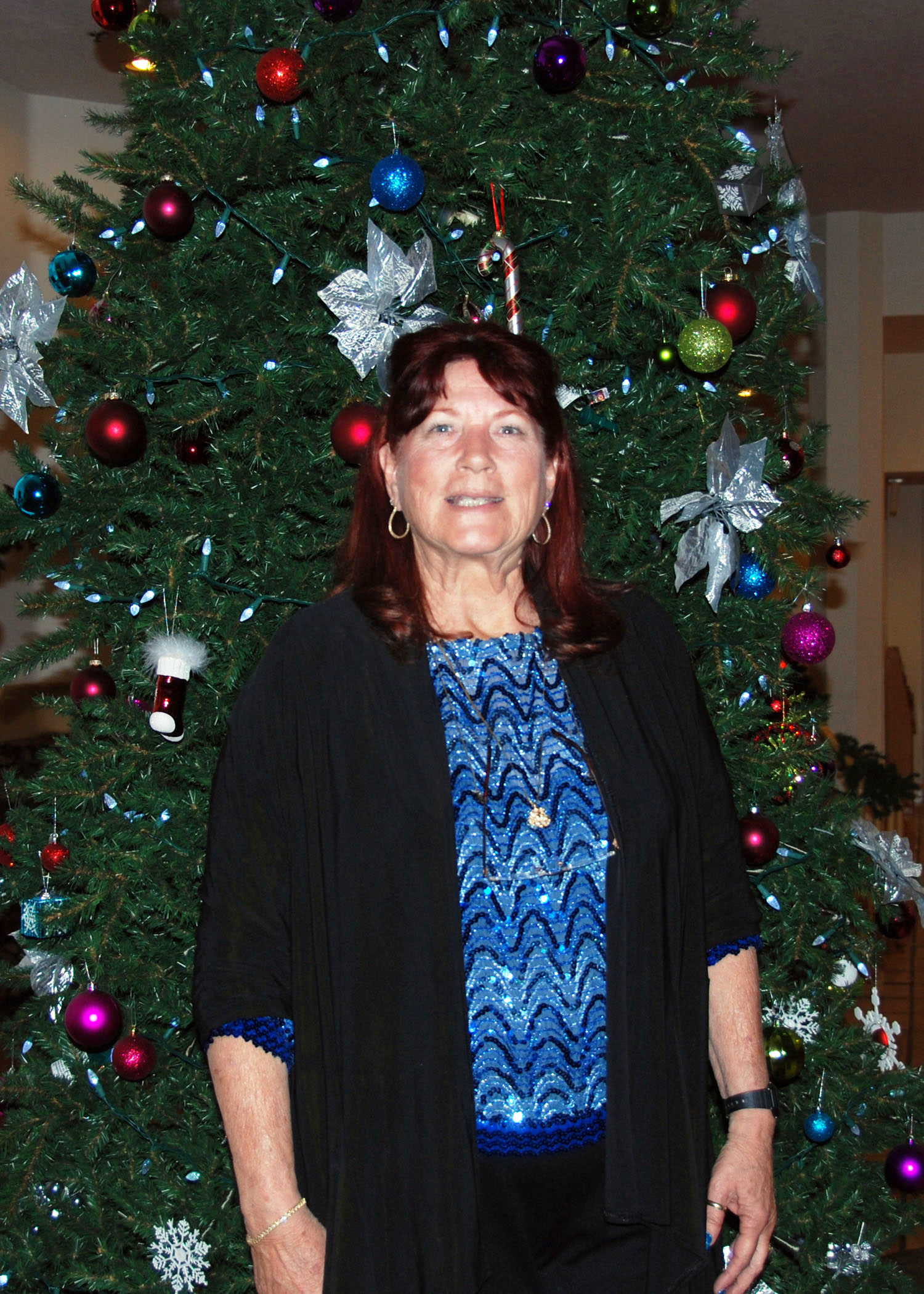 Simi Valley Corvettes