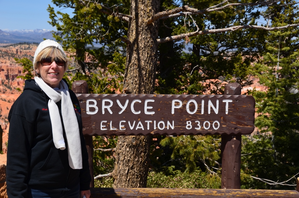 Simi Valley Corvettes