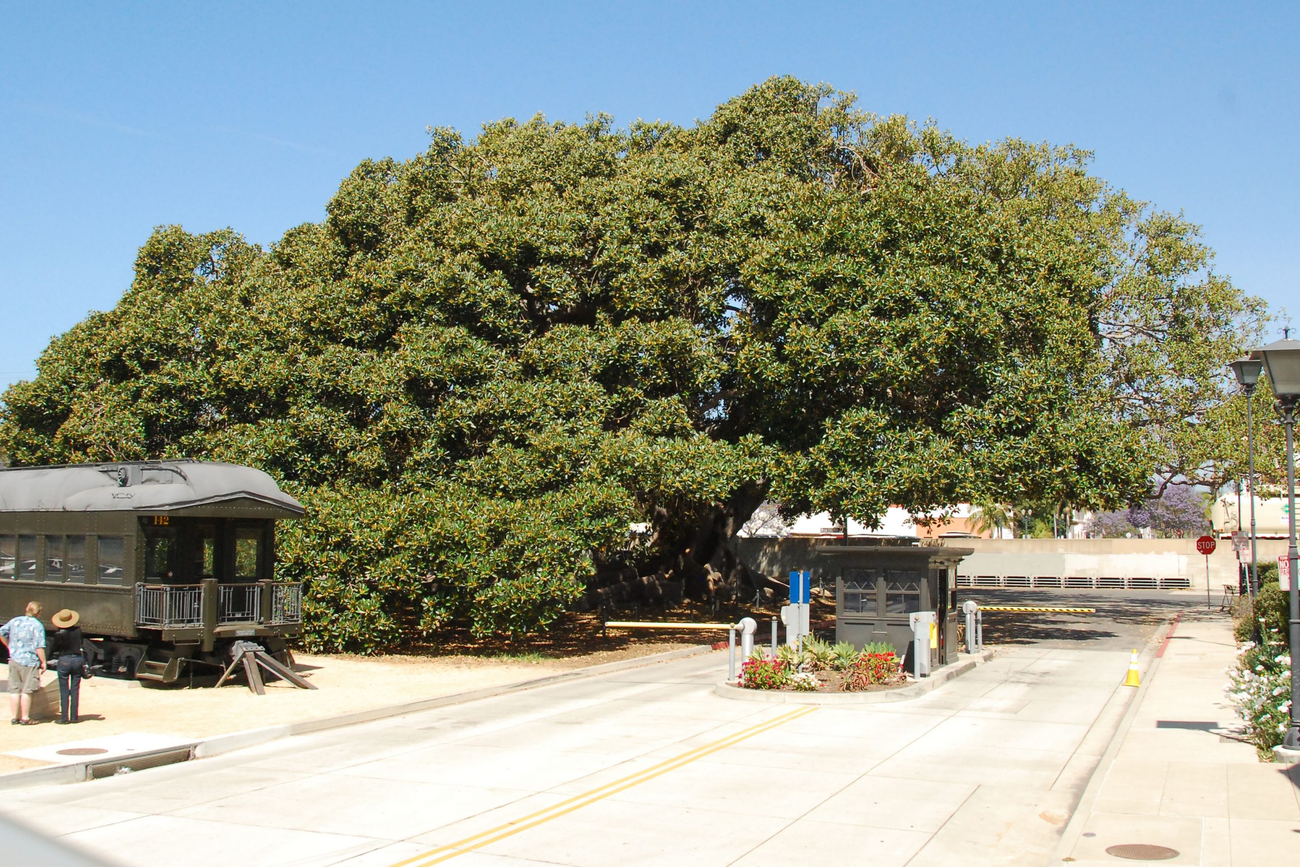 Simi Valley Corvettes