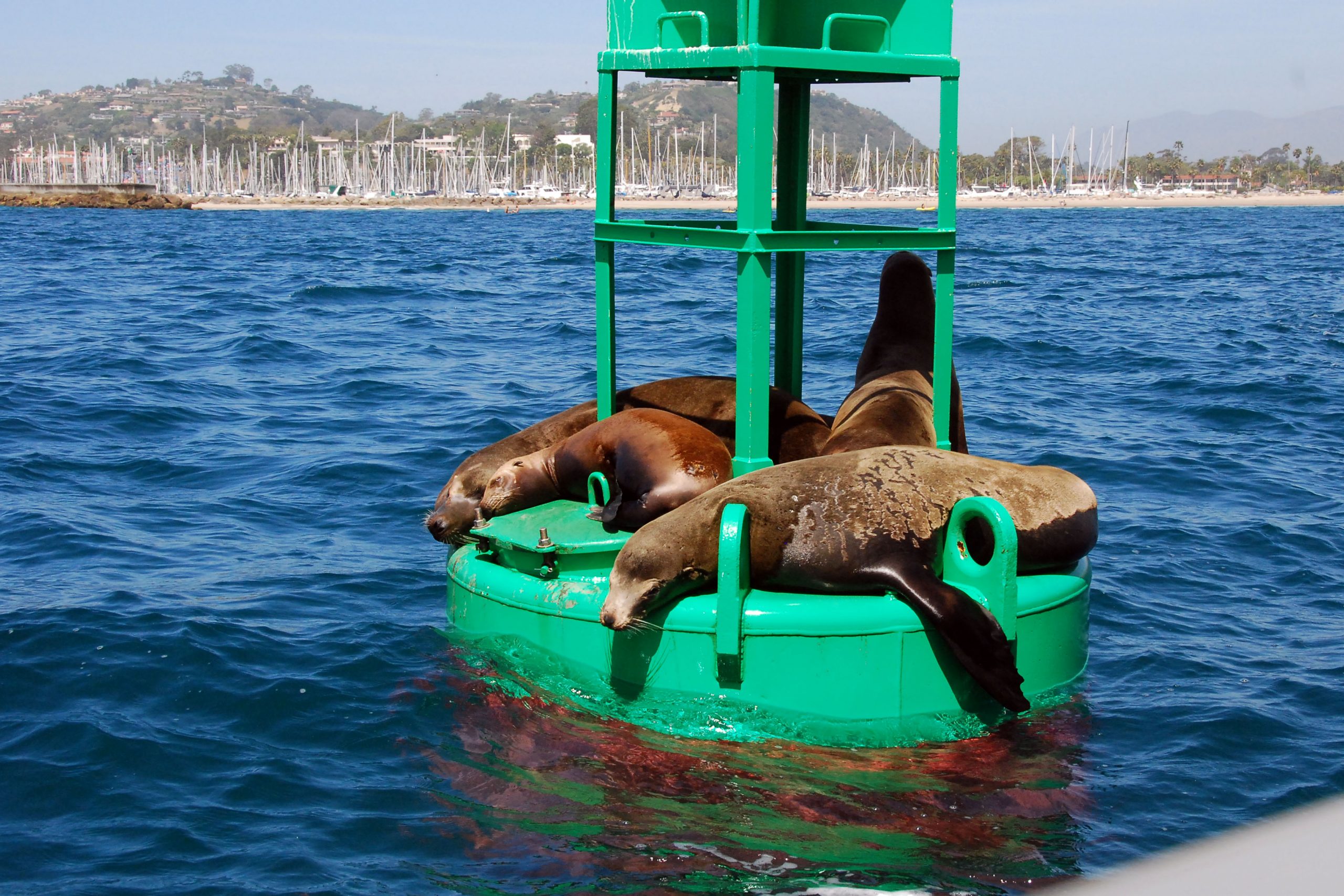 Simi Valley Corvettes