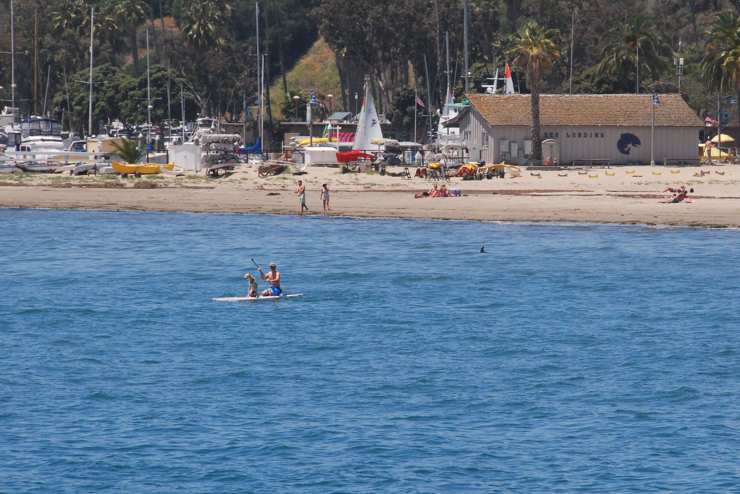 Simi Valley Corvettes