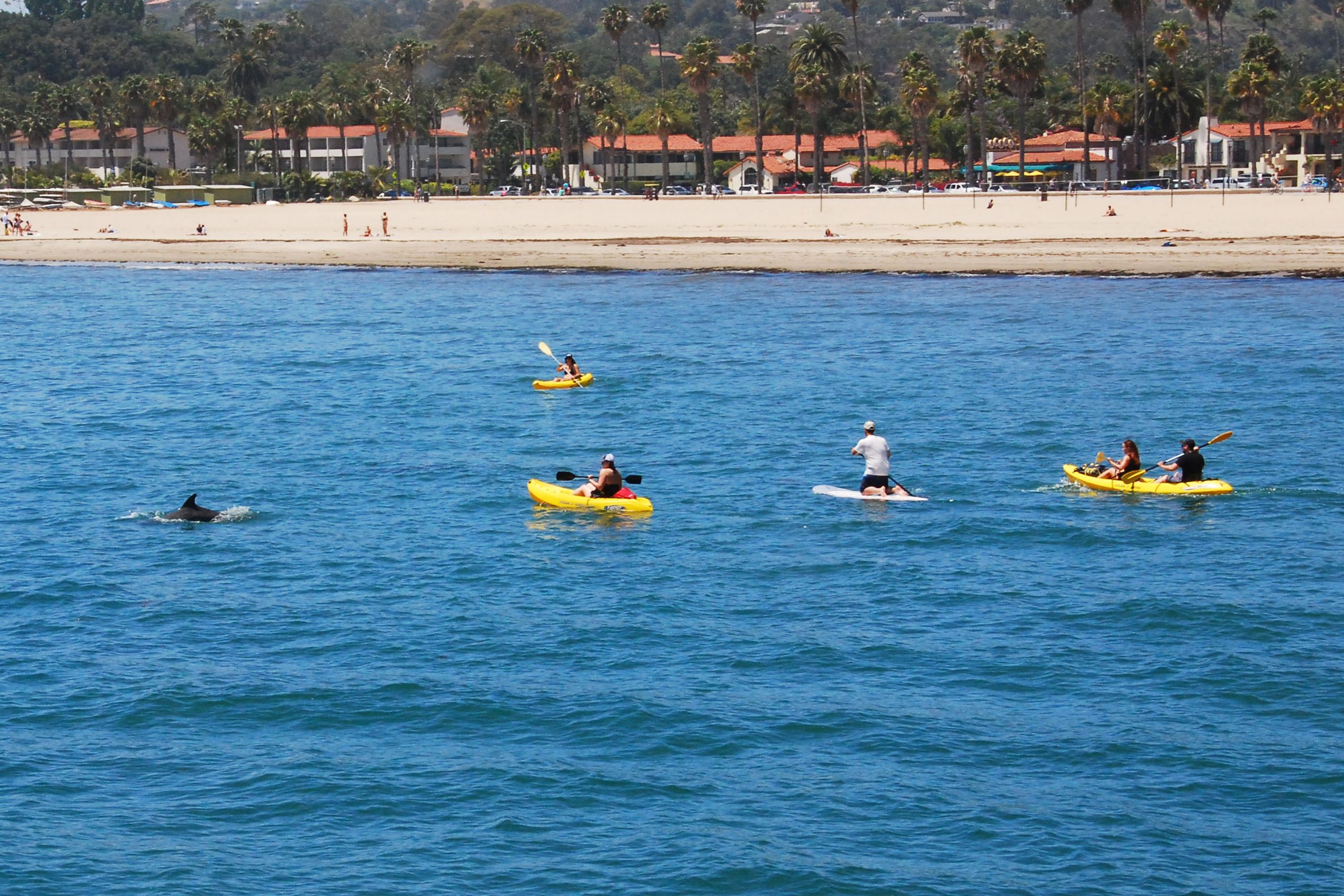 Simi Valley Corvettes