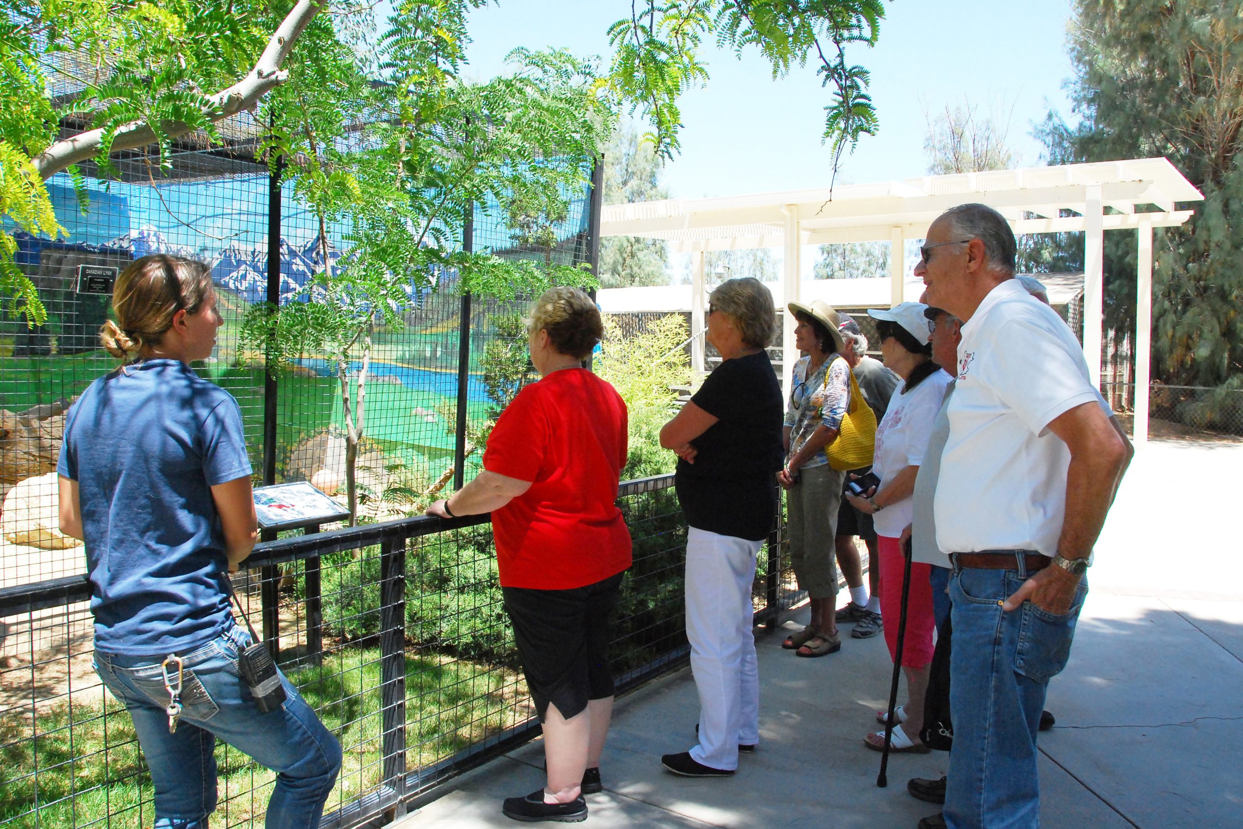 Simi Valley Corvettes