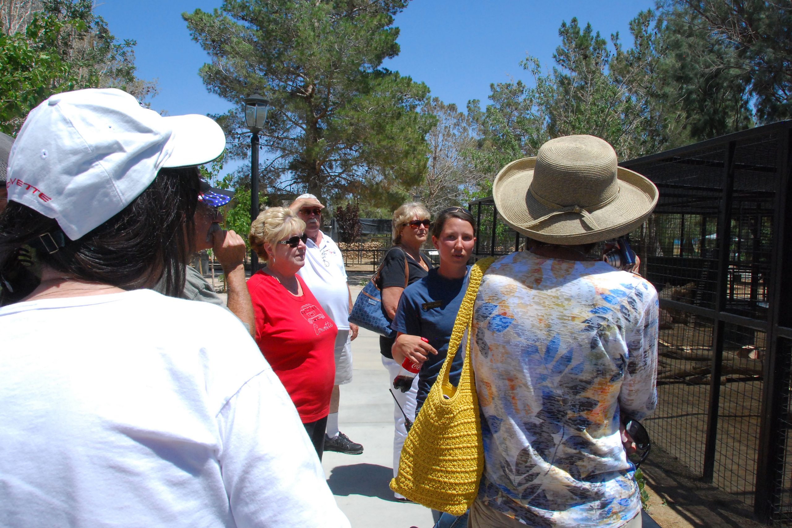 Simi Valley Corvettes