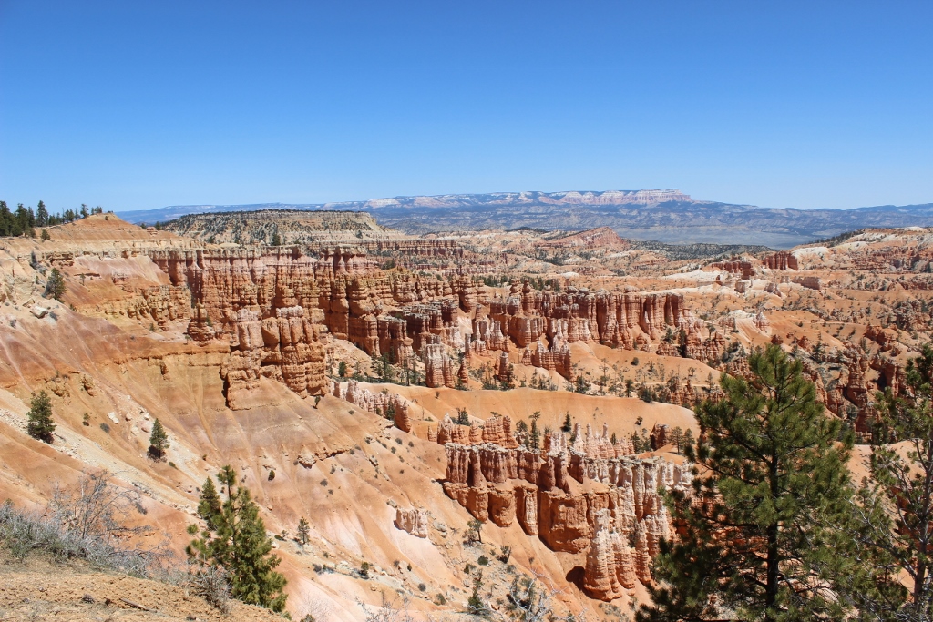Simi Valley Corvettes