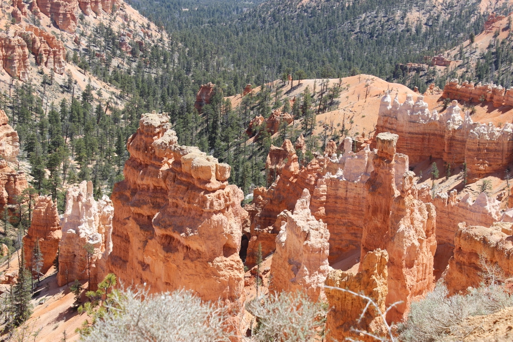 Simi Valley Corvettes
