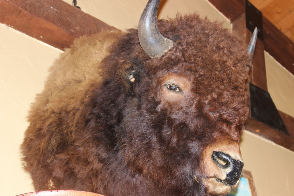 Simi Valley Corvettes