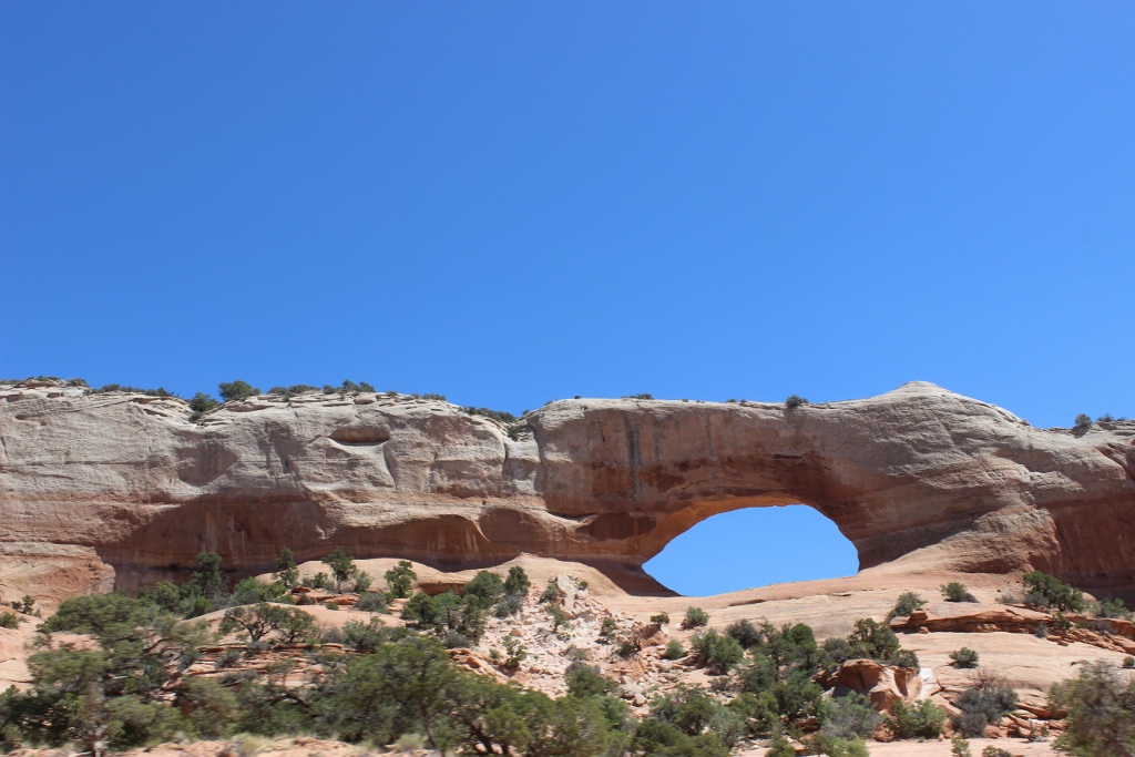 Simi Valley Corvettes