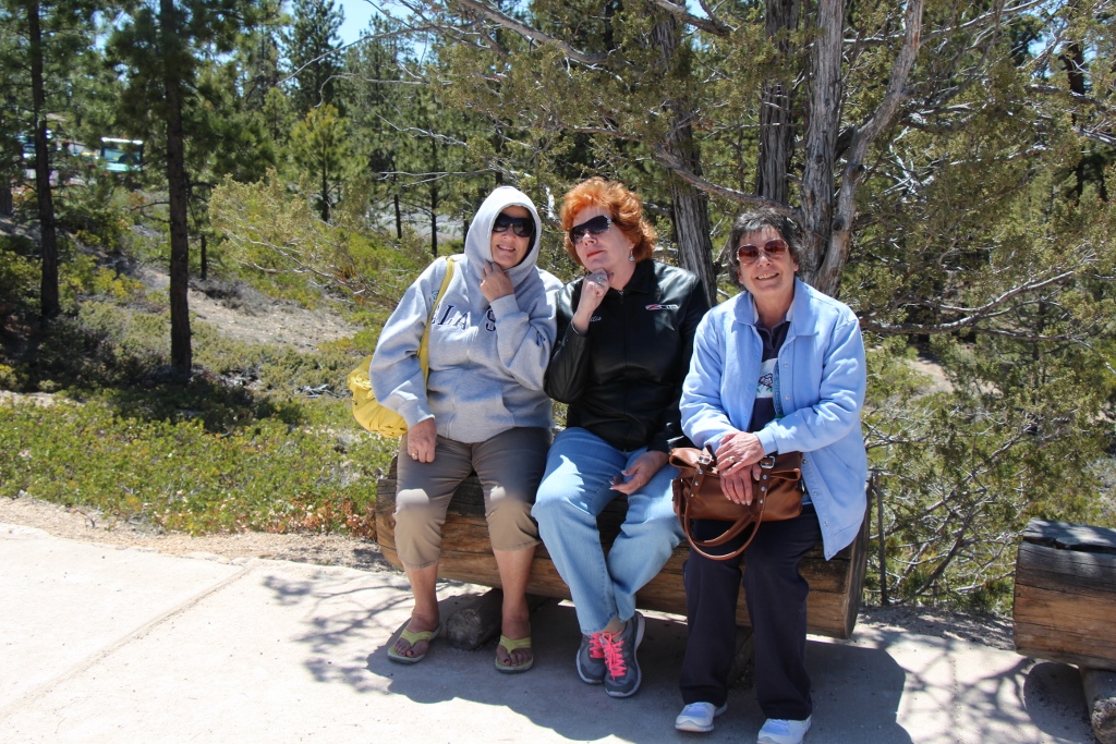 Simi Valley Corvettes