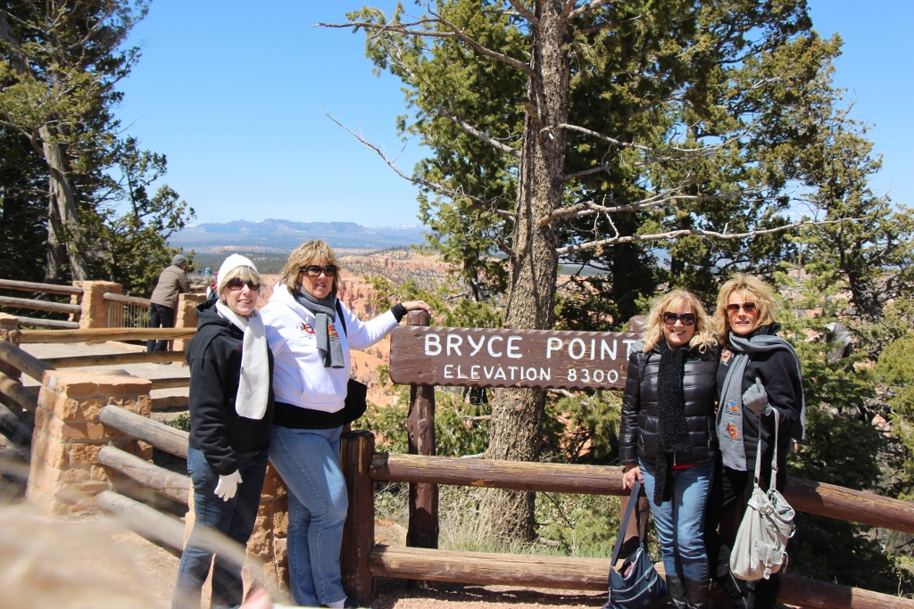 Simi Valley Corvettes