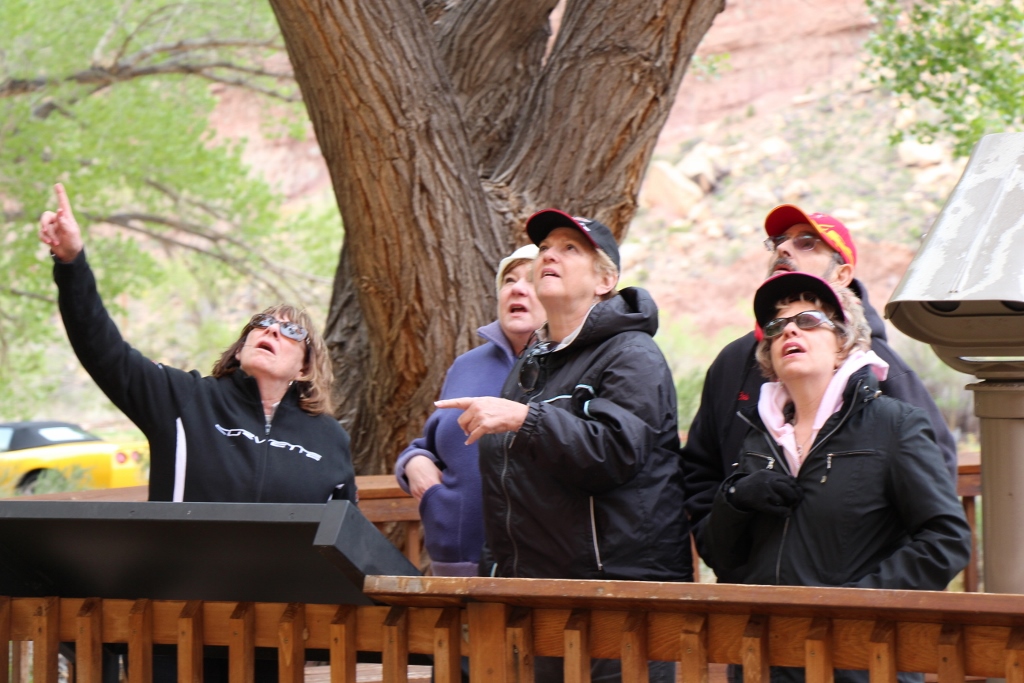 Simi Valley Corvettes