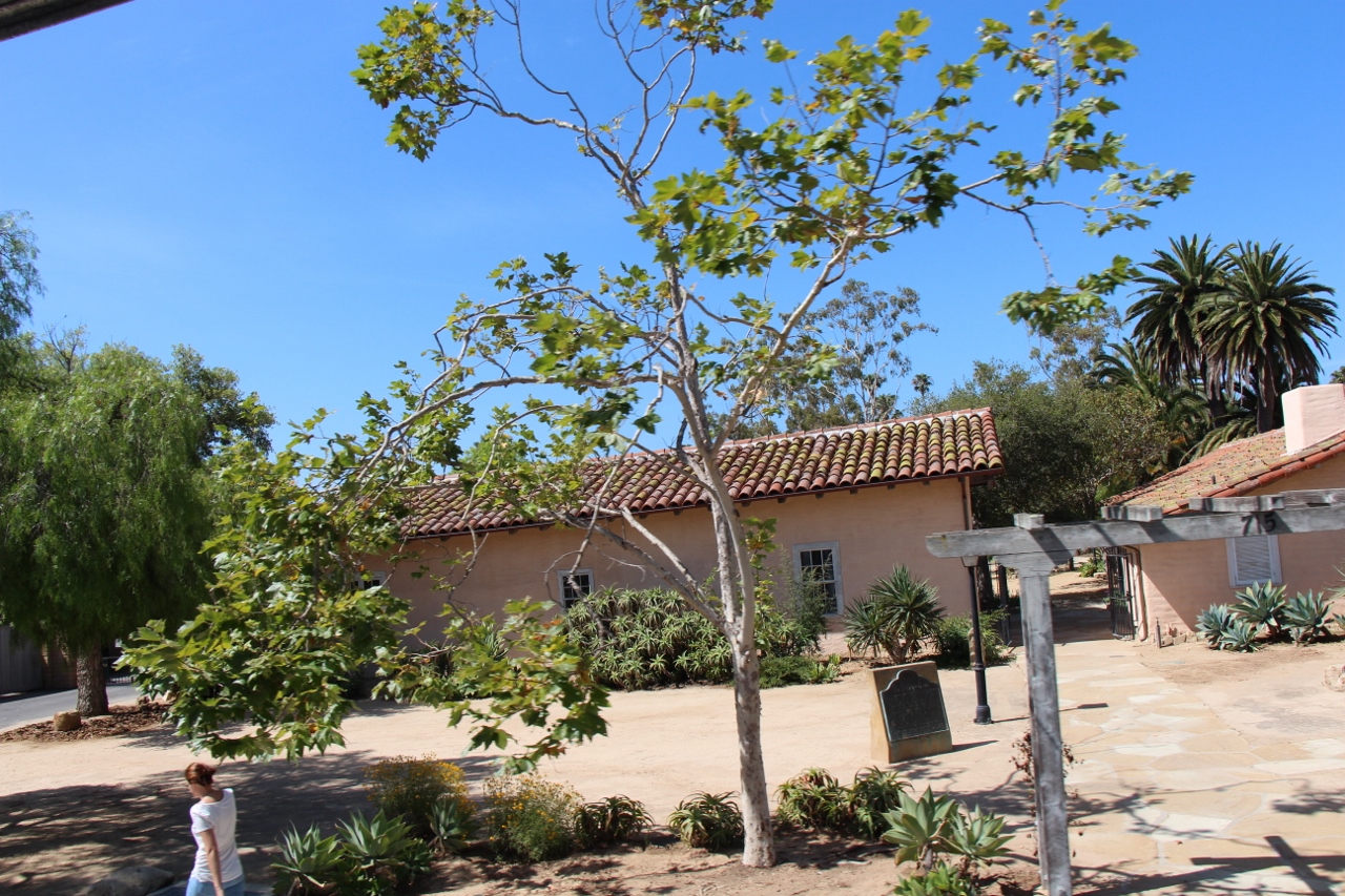 Simi Valley Corvettes