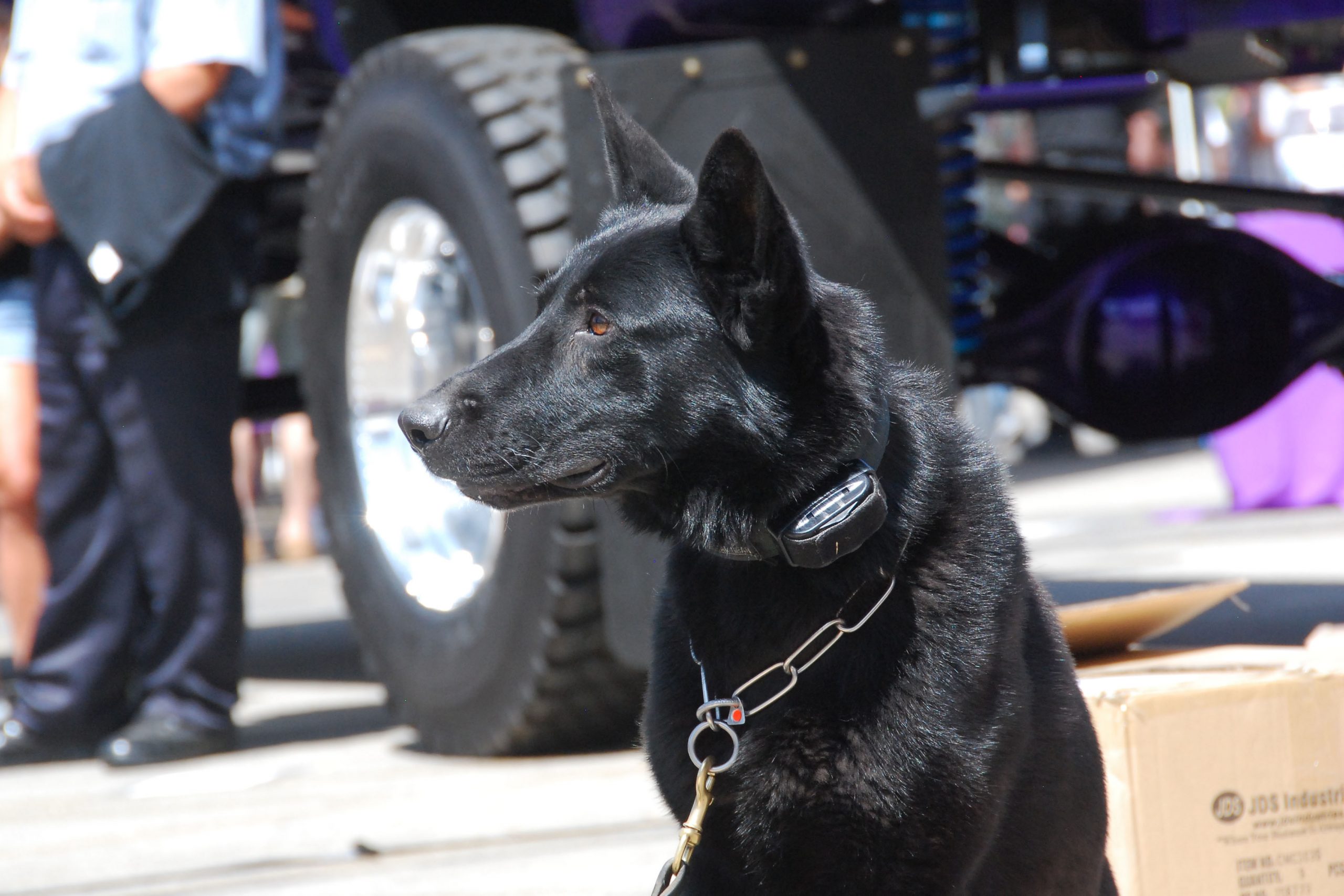 Simi Valley Corvettes
