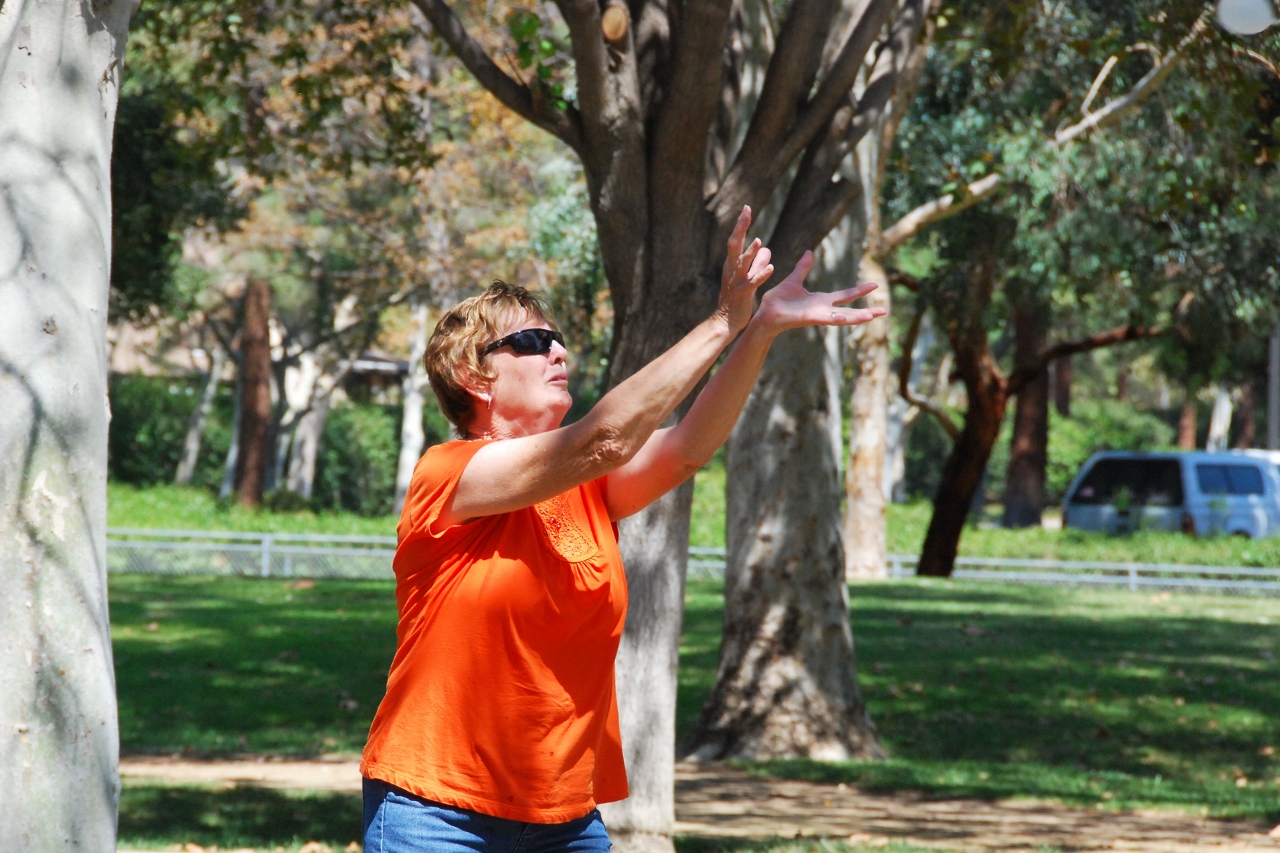 Simi Valley Corvettes