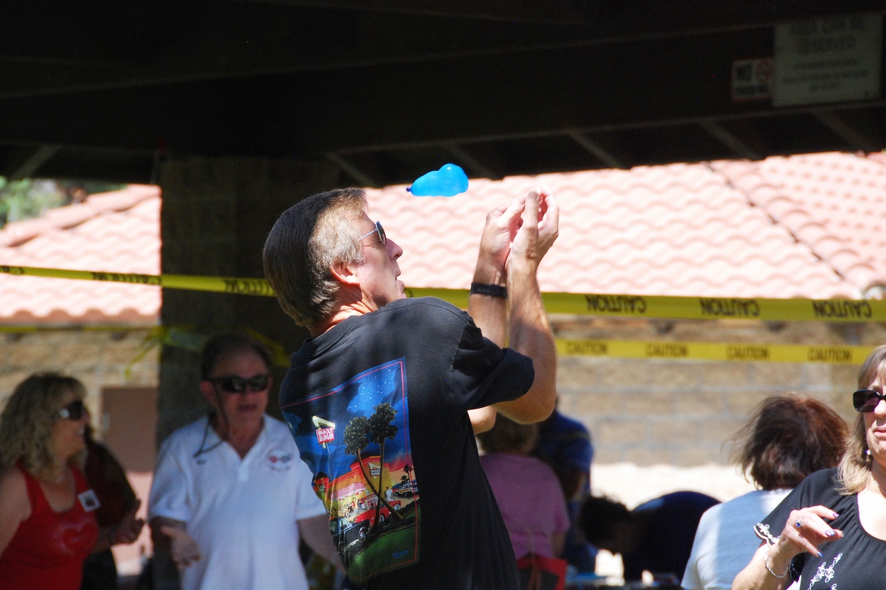 Simi Valley Corvettes