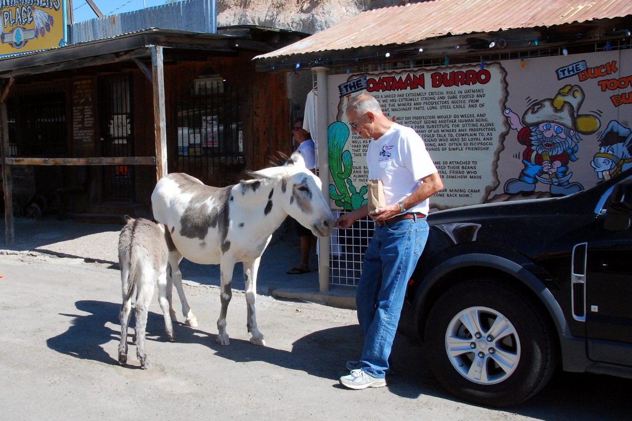 Simi Valley Corvettes