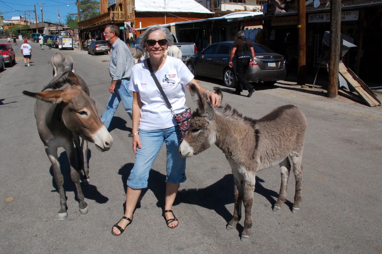 Simi Valley Corvettes
