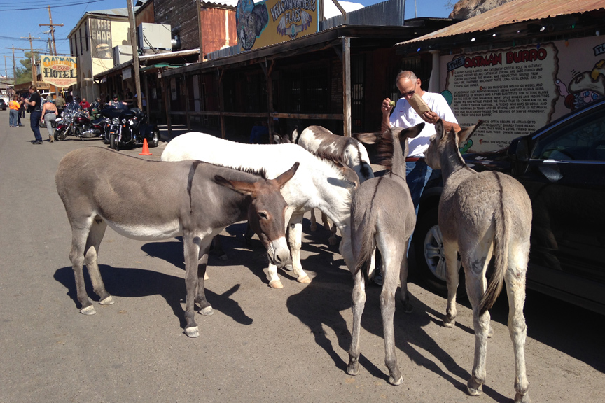 Simi Valley Corvettes