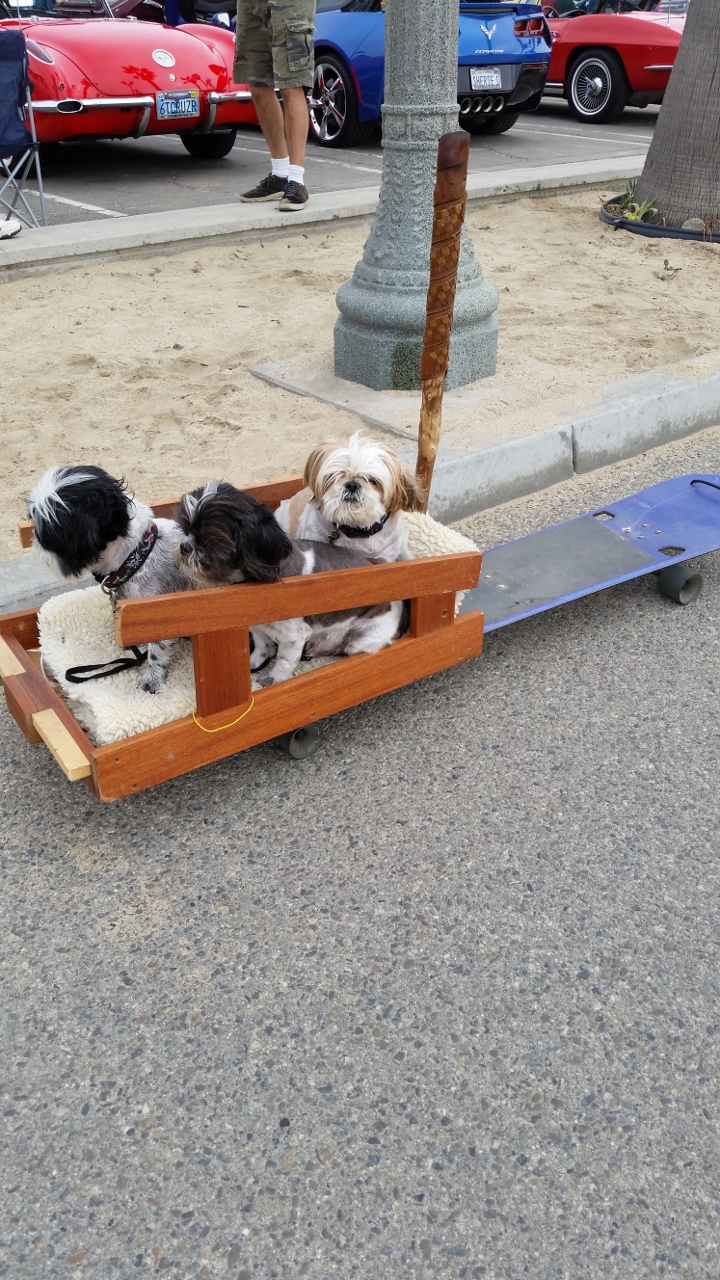 Simi Valley Corvettes