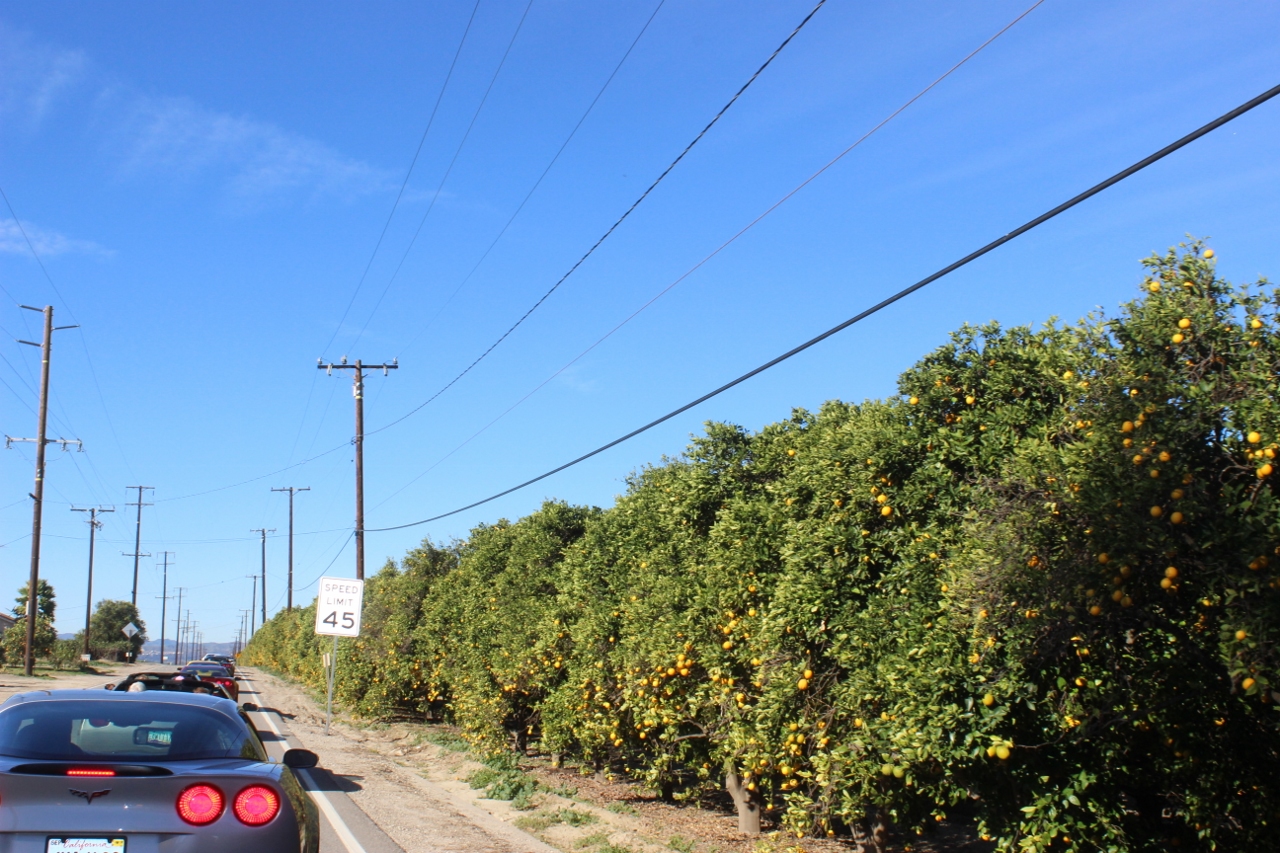 Simi Valley Corvettes