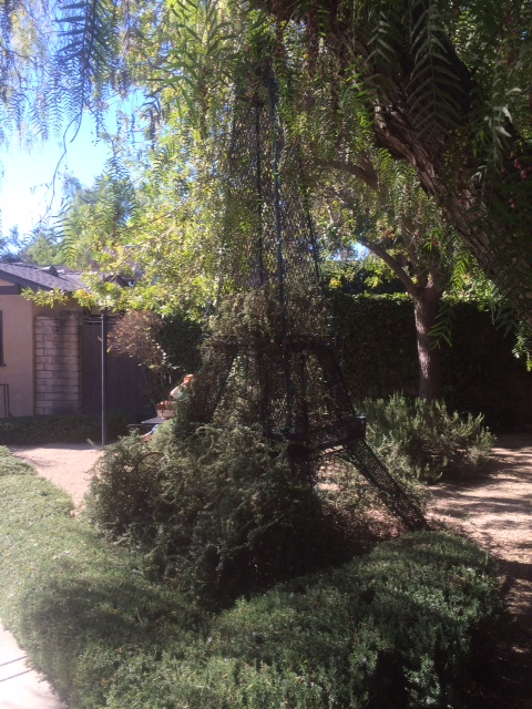 Simi Valley Corvettes