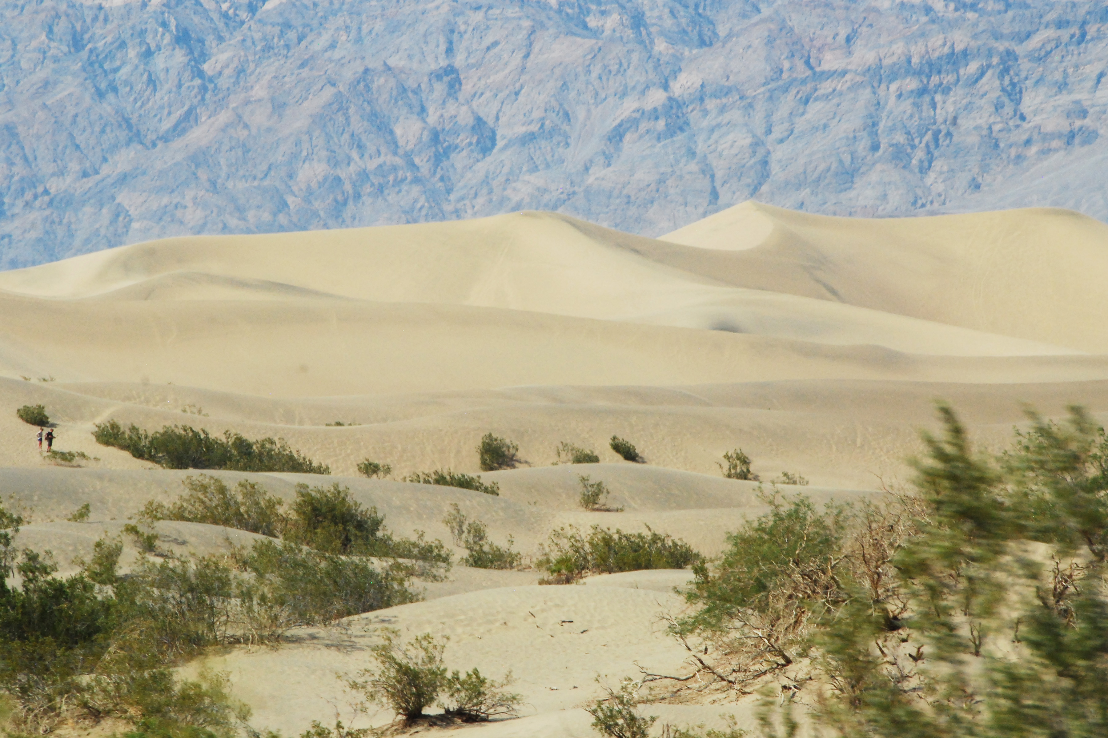 Simi Valley Corvettes