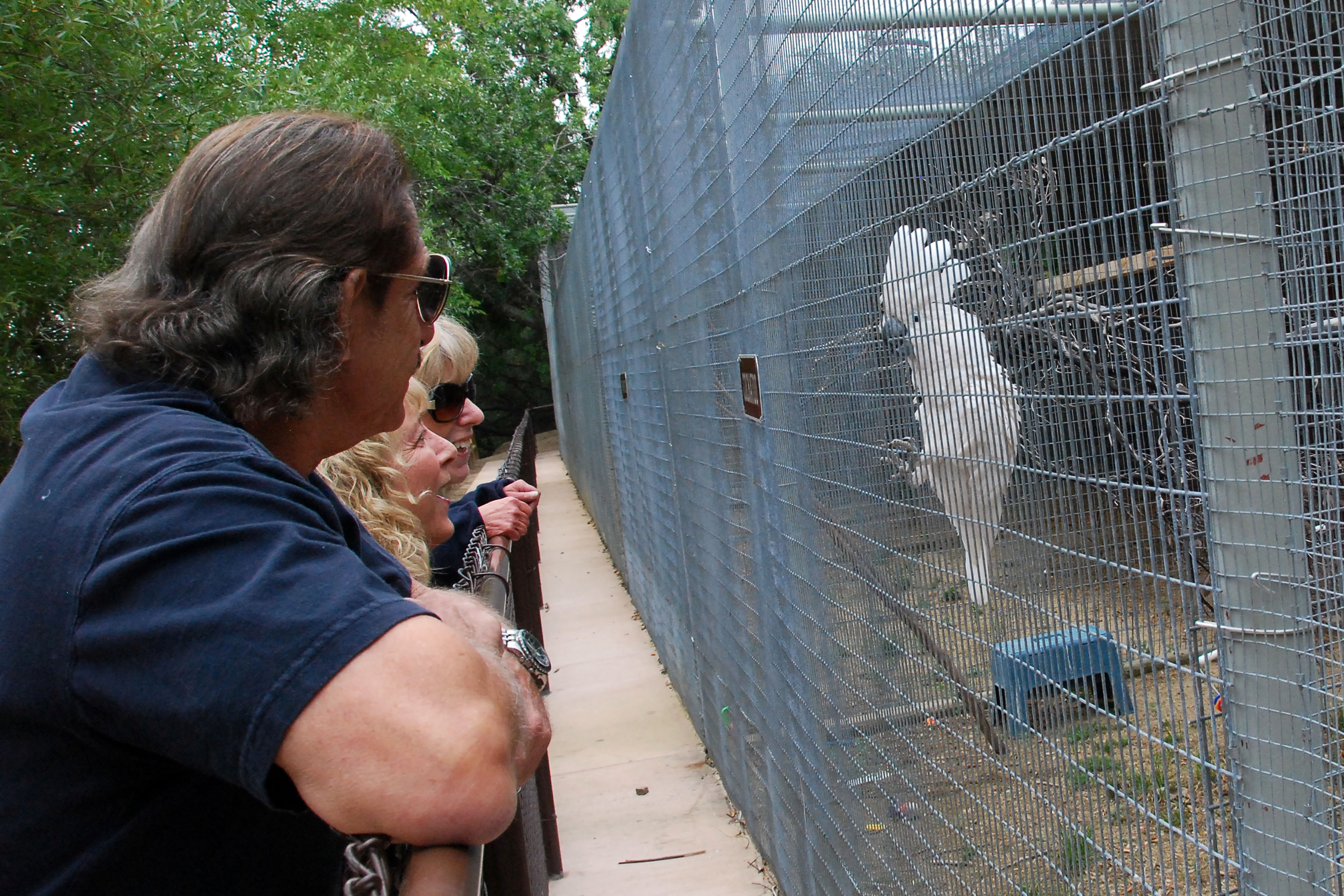Simi Valley Corvettes