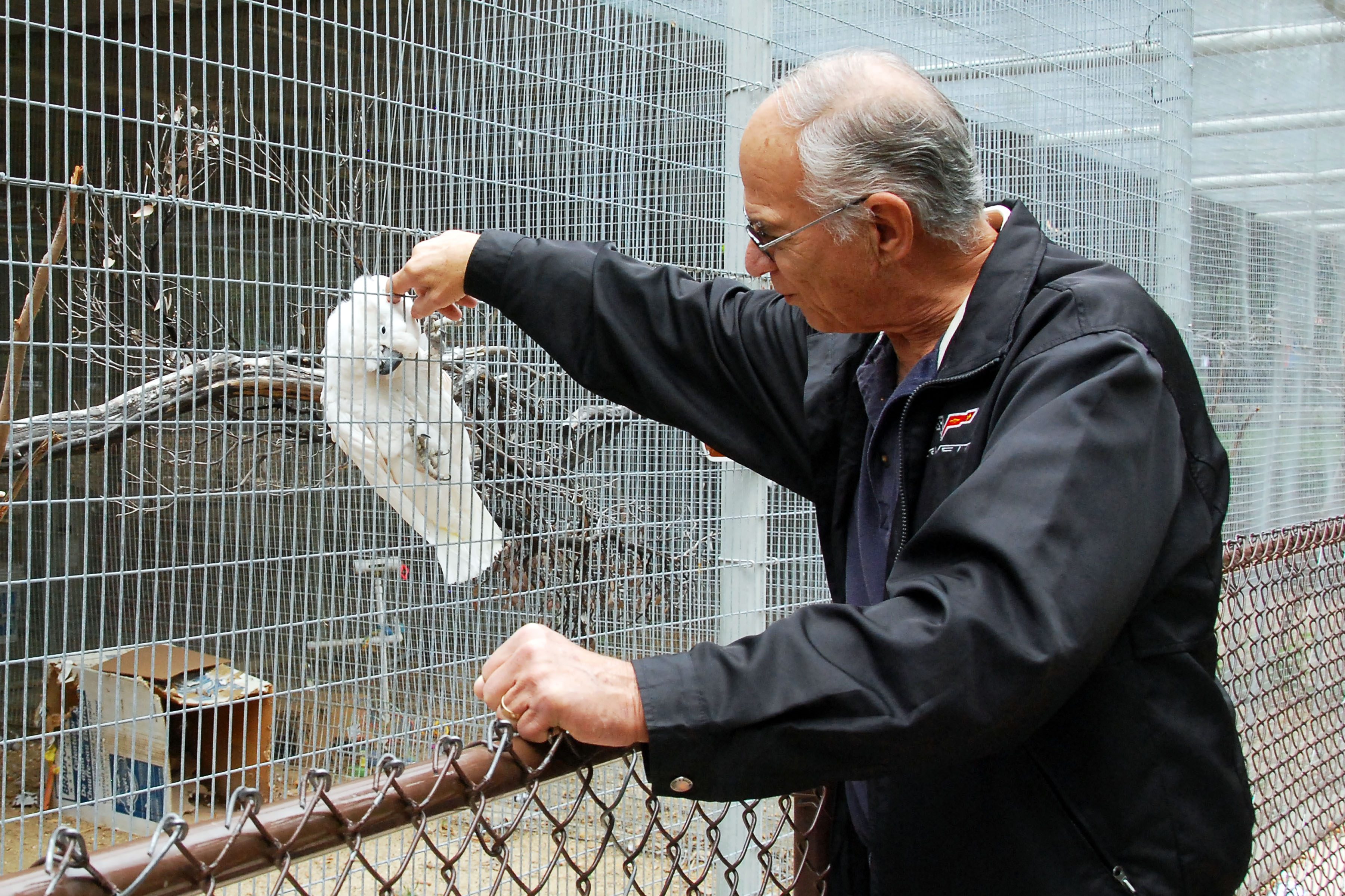 Simi Valley Corvettes