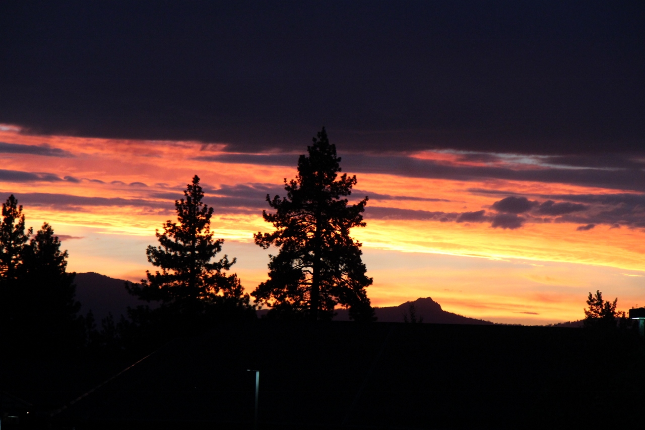 Simi Valley Corvettes