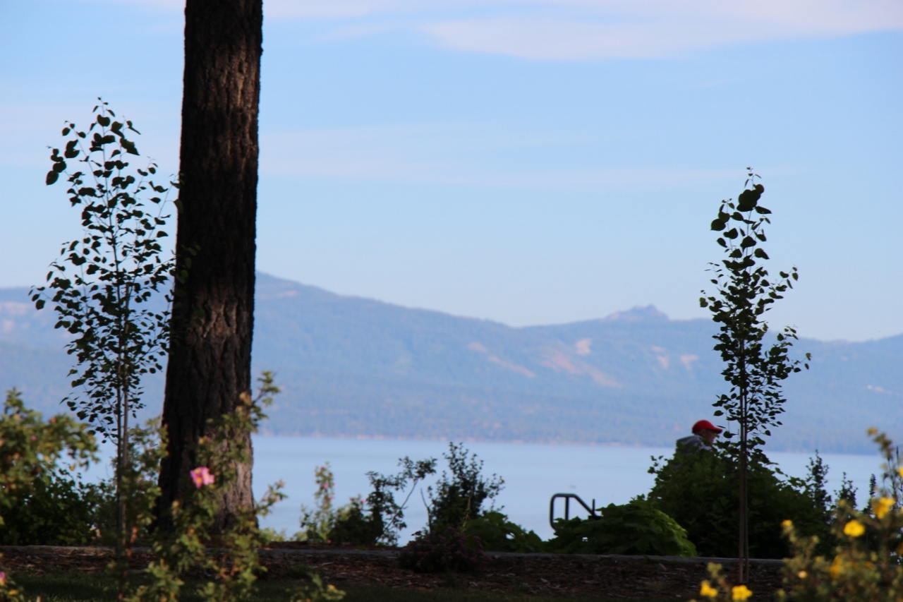 Simi Valley Corvettes