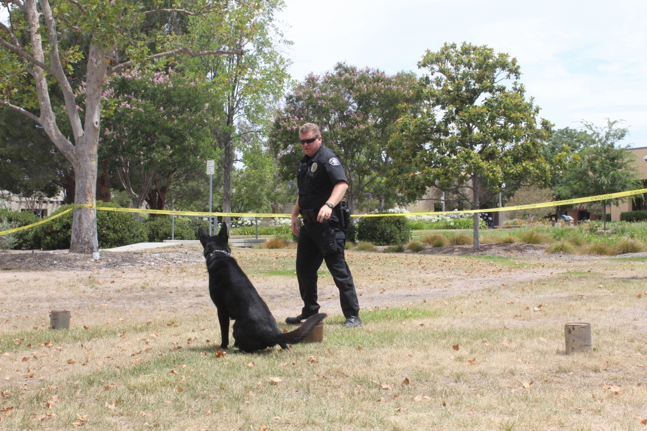 Simi Valley Corvettes