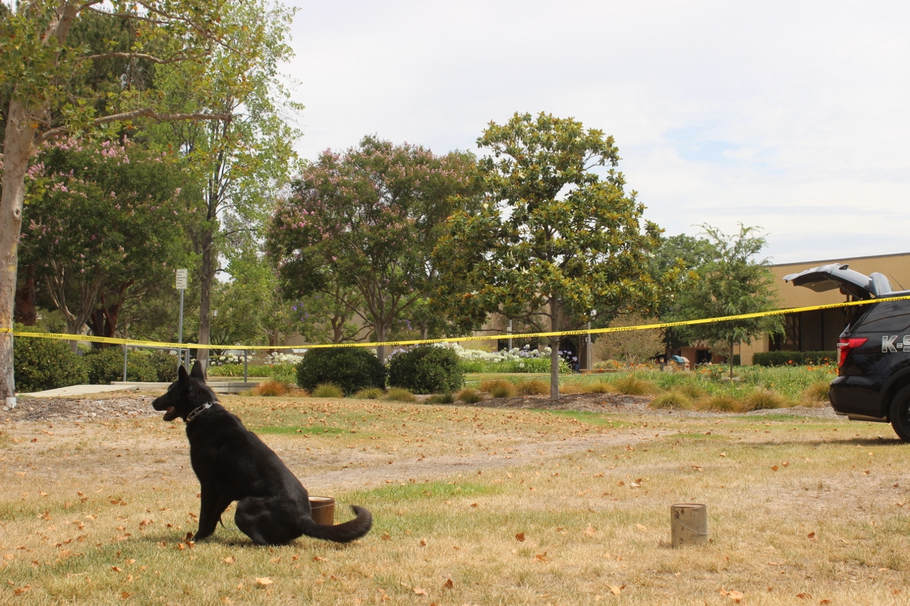 Simi Valley Corvettes