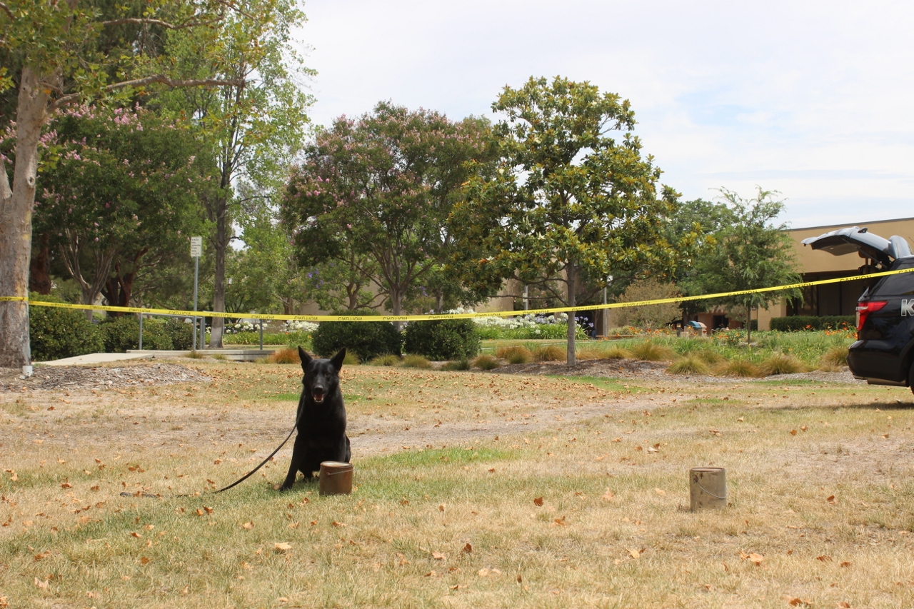 Simi Valley Corvettes