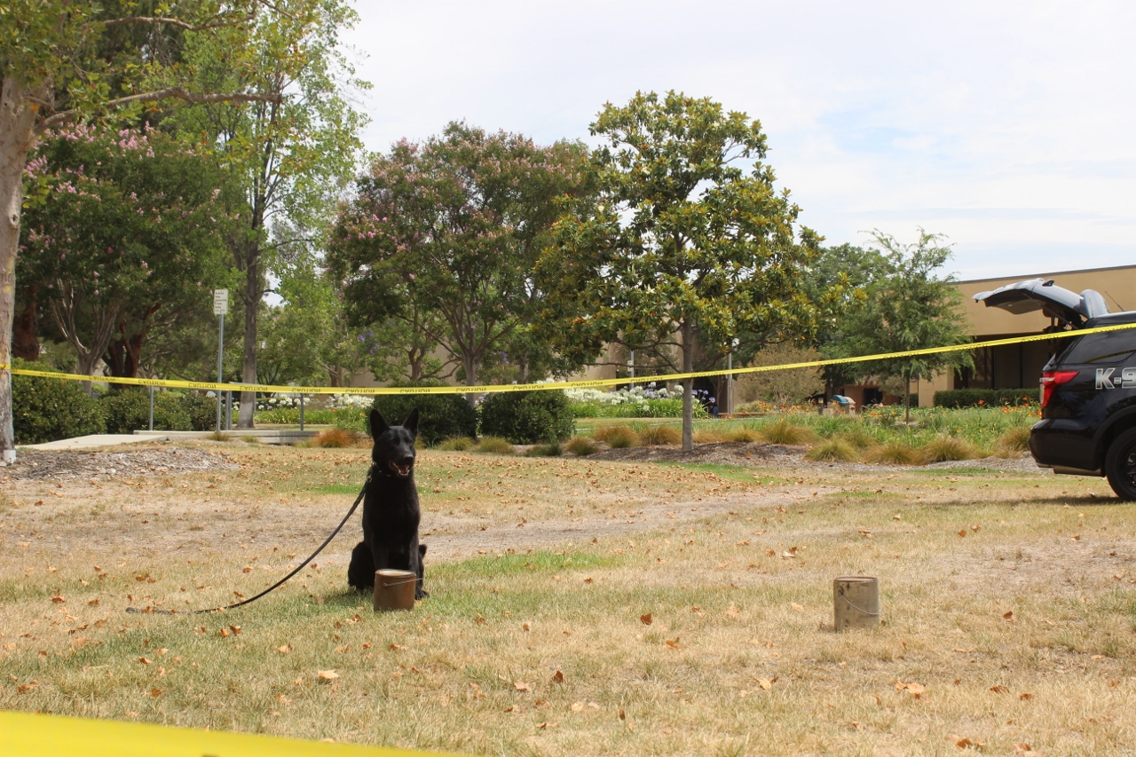Simi Valley Corvettes