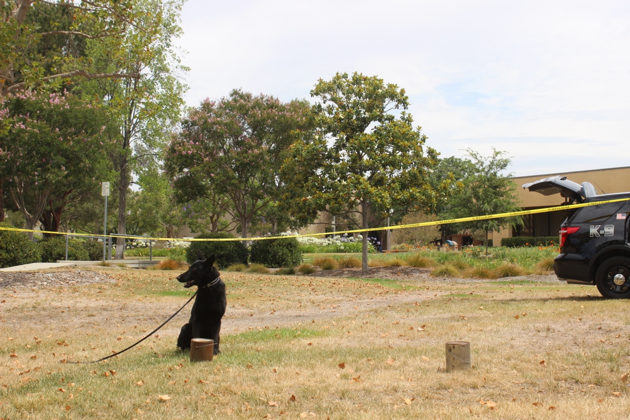 Simi Valley Corvettes