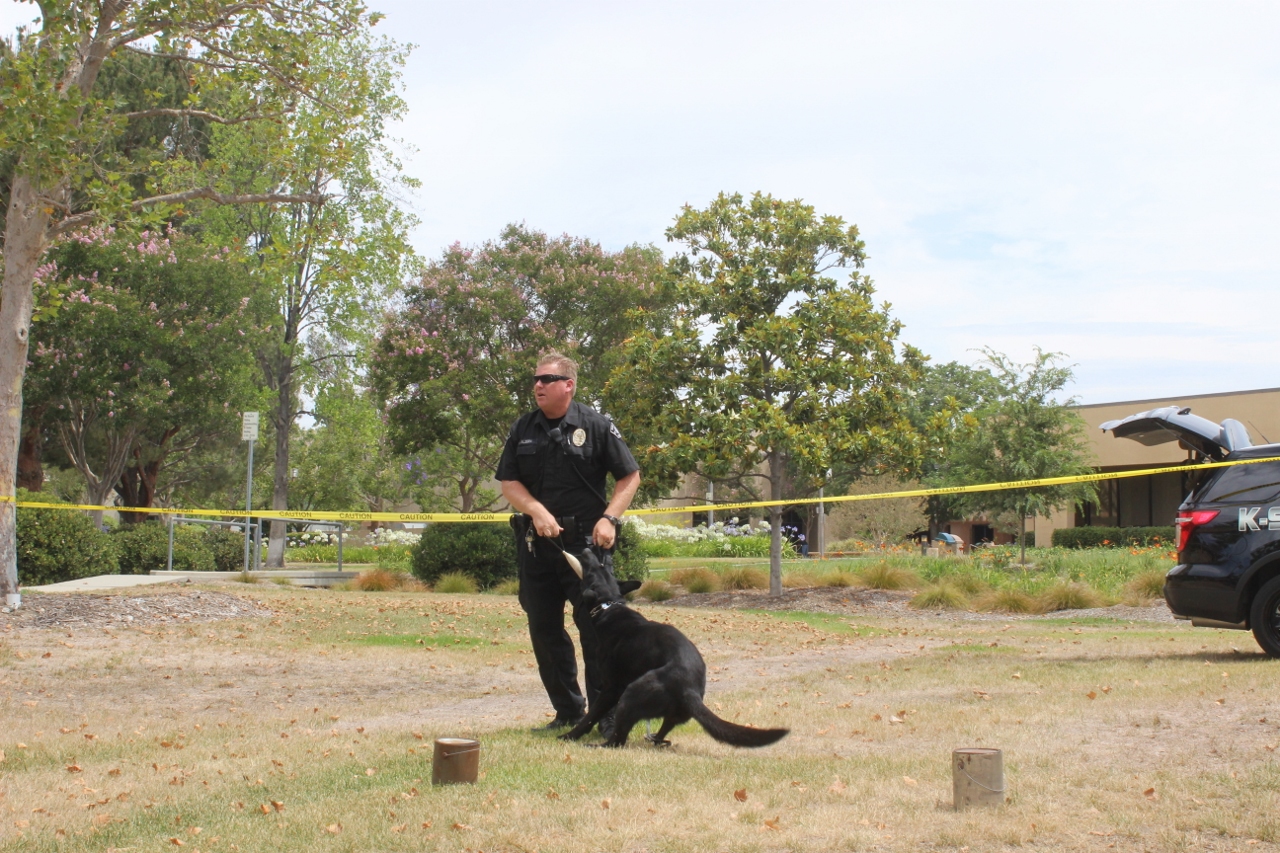 Simi Valley Corvettes