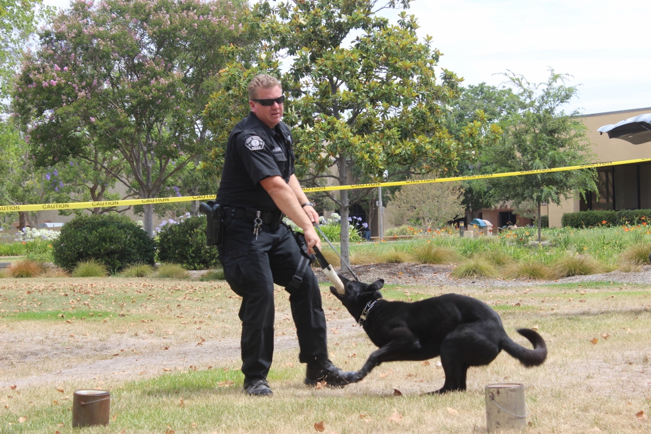 Simi Valley Corvettes