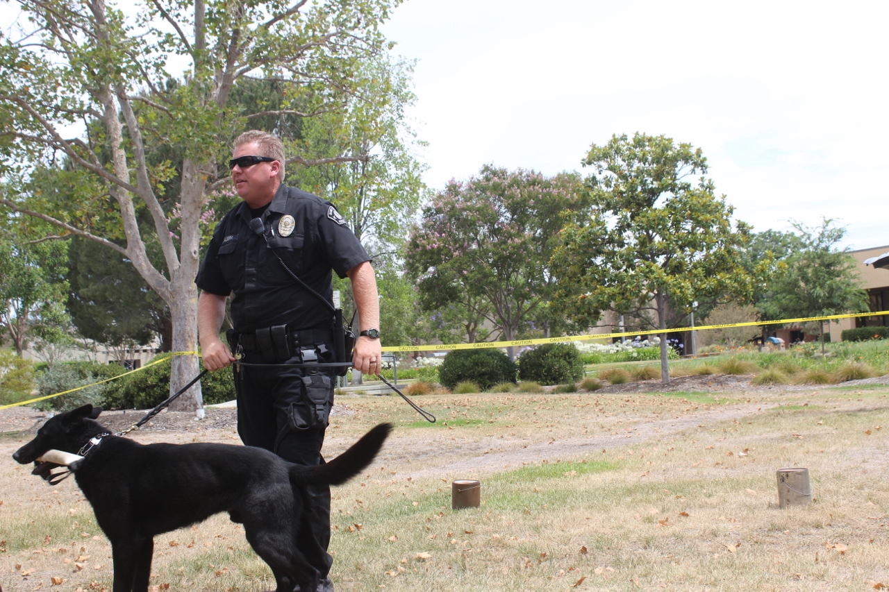 Simi Valley Corvettes